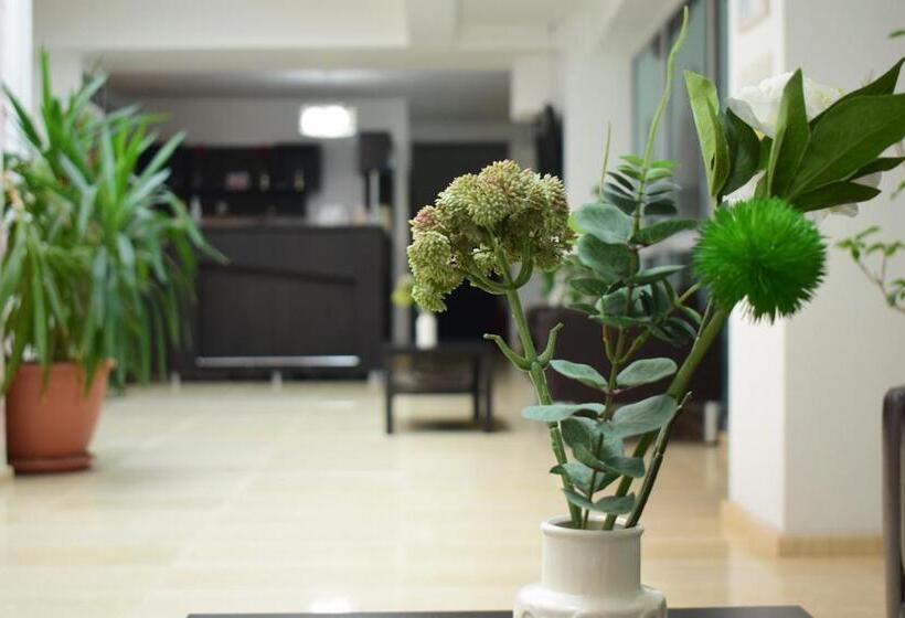 小型套房, Corona