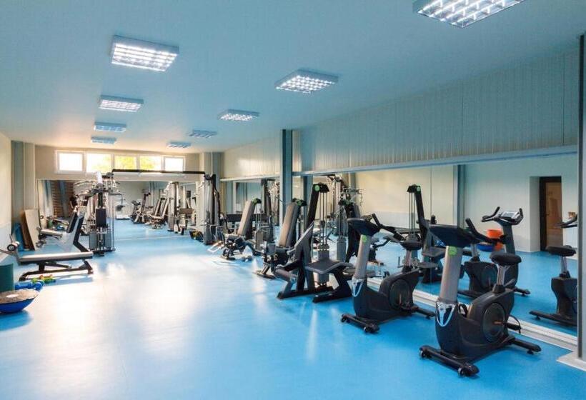 اتاق استاندارد با دسترسی به اسپا, Ymy Hotels Târgu Jiu