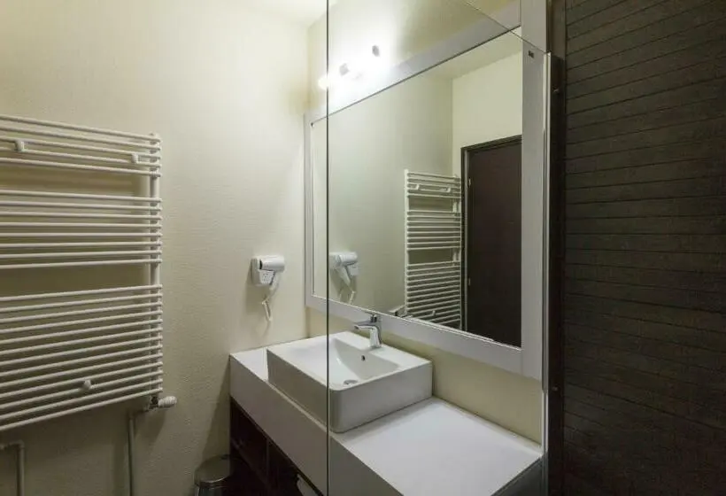 Standard-huone Pääsy Spa-tilaan, Ymy Hotels Târgu Jiu