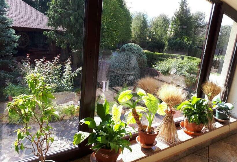 スタンダードルーム, Motel Perla Sigheteana