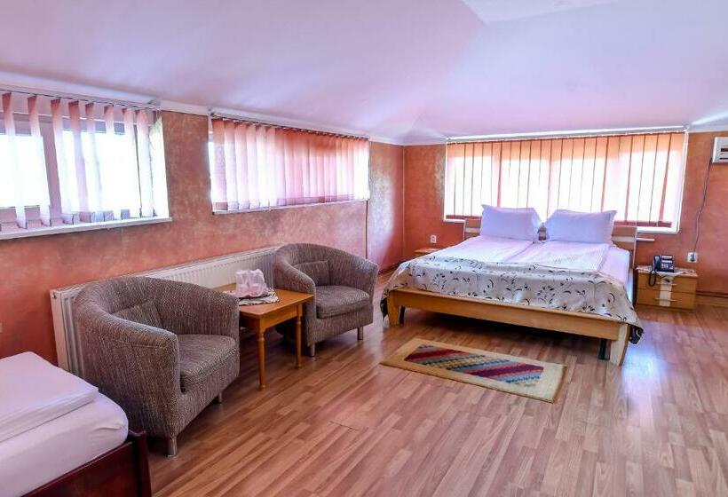 Cameră Familiară, Motel Perla Sigheteana