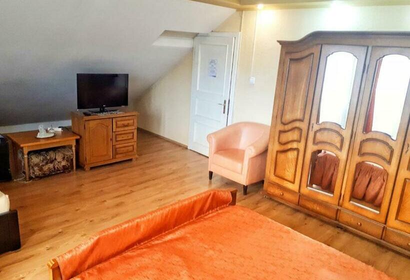 Apartament 1 Dormitor, Motel Perla Sigheteana