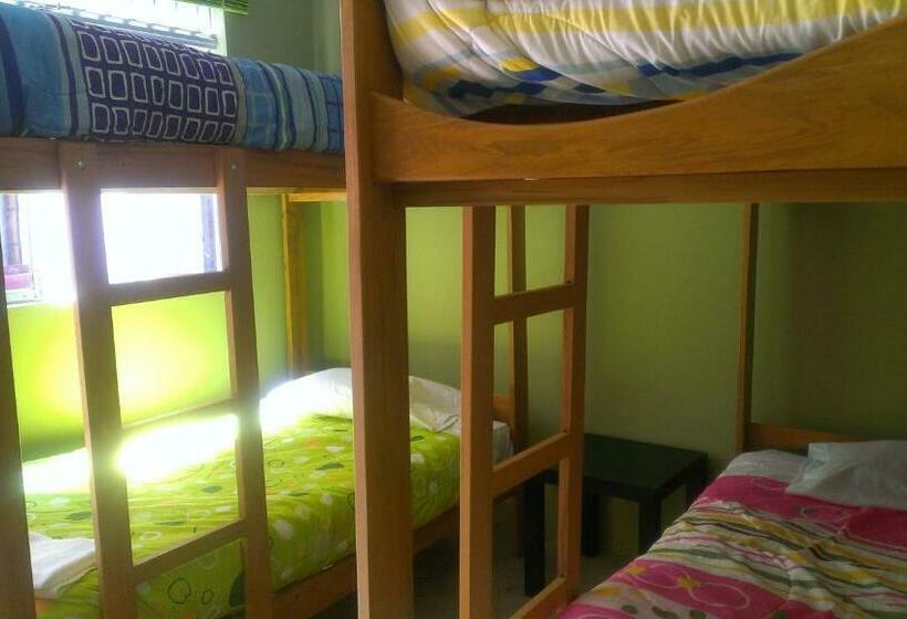 Standard Cuadruple Room Shared Bathroom, El Buen Samaritano Backpackers   Hostel