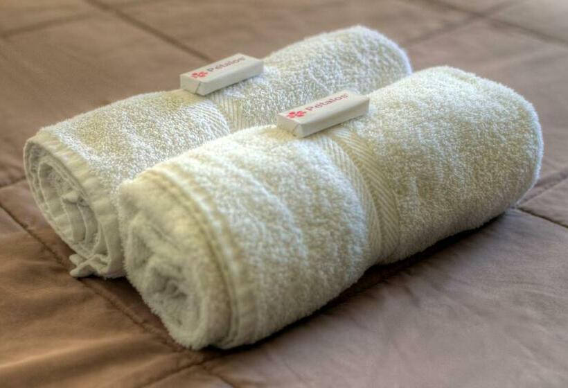 اتاق استاندارد, Dragonfly Hostels Miraflores