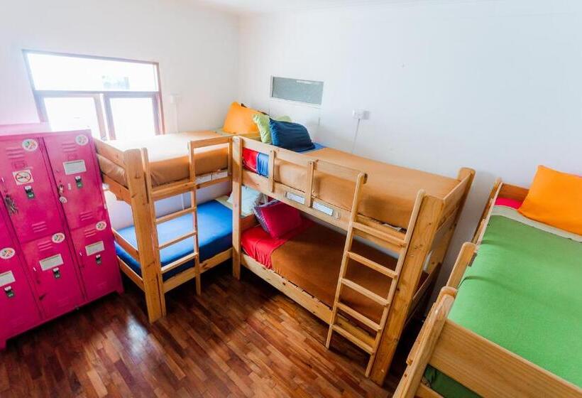 تختخواب در اتاق مشترک, Dragonfly Hostels Miraflores