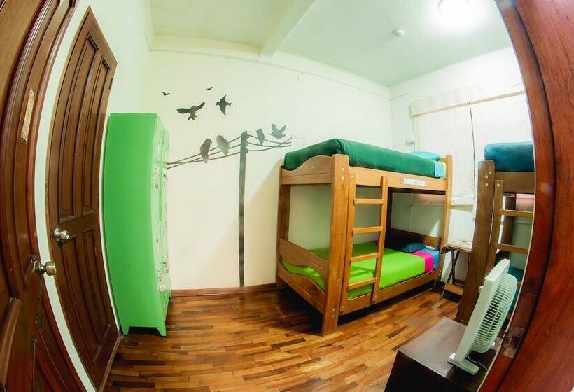 공동 객실, Dragonfly Hostels Miraflores