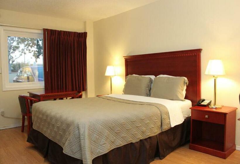 חדר סטנדרט, Budget Inn