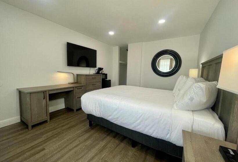 חדר סופריור, Budget Inn