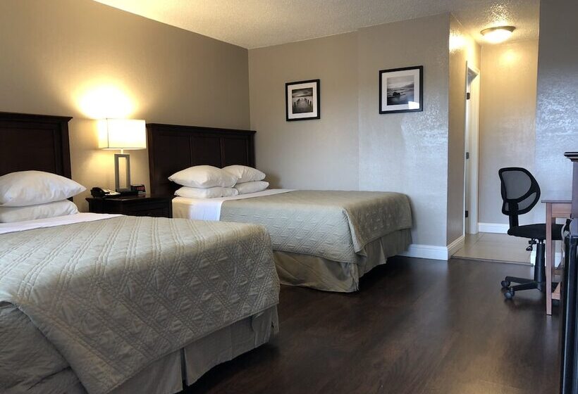 חדר סטנדרט, Budget Inn