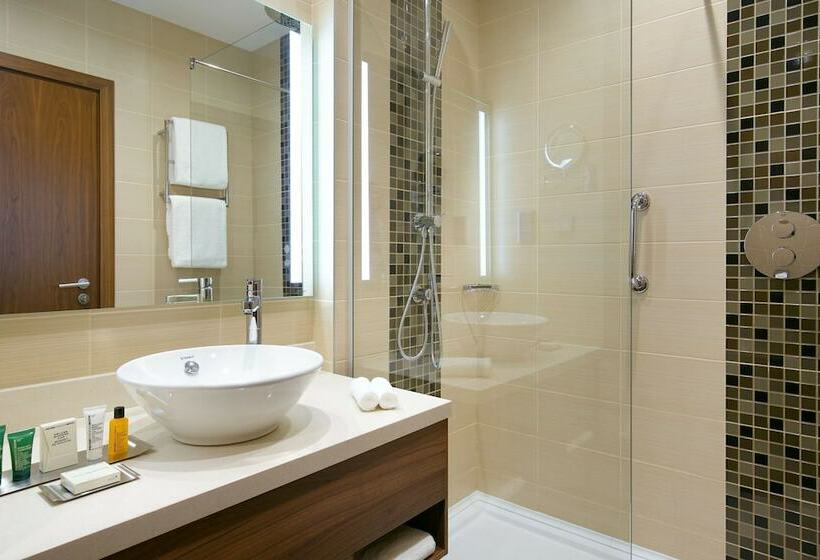 Номер Стандарт, Hilton Garden Inn Volgograd