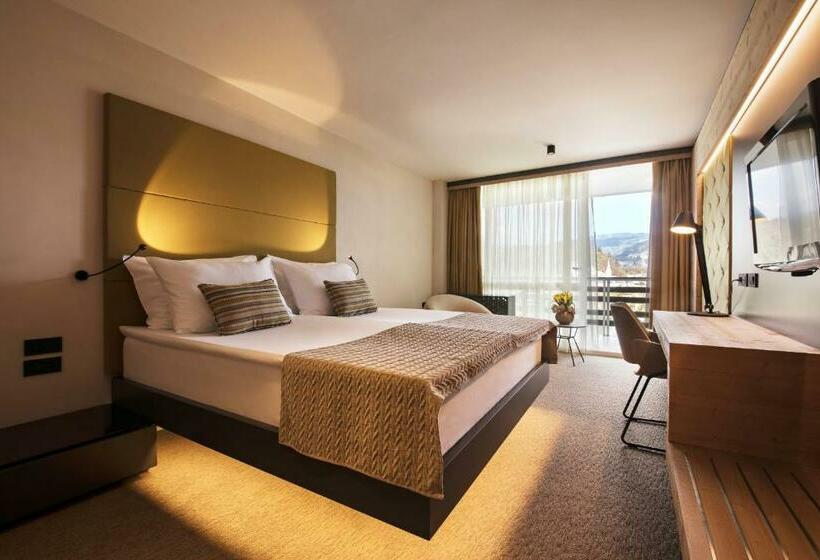 Pokój Standard Widok Jezioro, Rikli Balance Hotel – Sava Hotels & Resorts