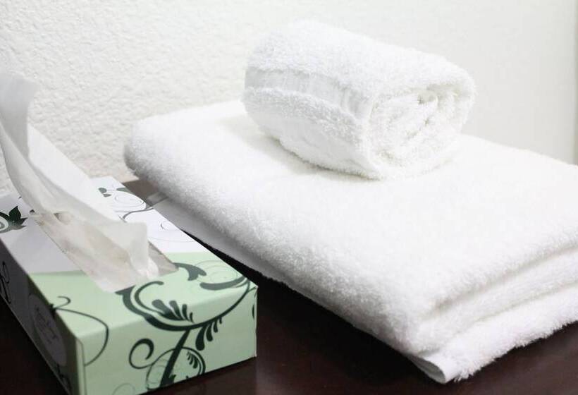 Номер Стандарт Индивидуальный Совместная Ванная, Union