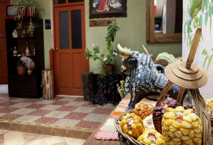 スタンダードルーム, Eco Home View Guest House