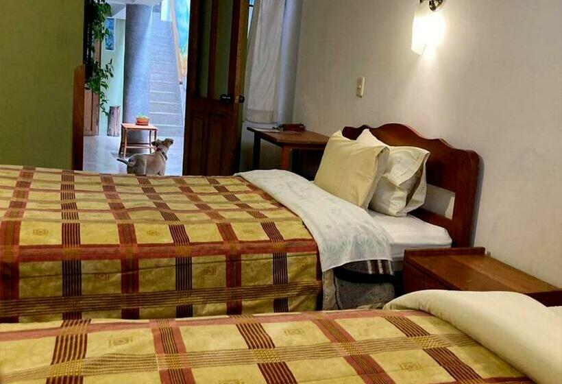 スタンダードトリプルルーム, Eco Home View Guest House