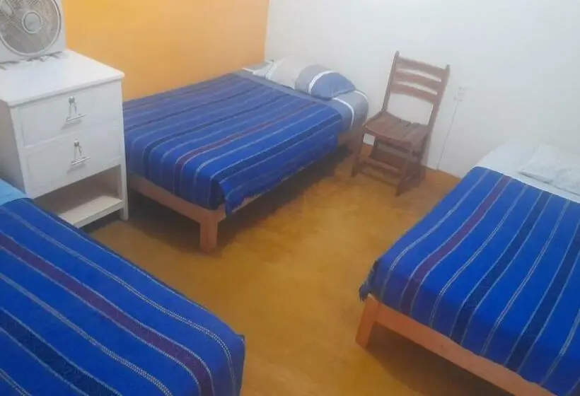 Orta Banyolu Üç Kişilik Standart Oda, Brabant Hostal