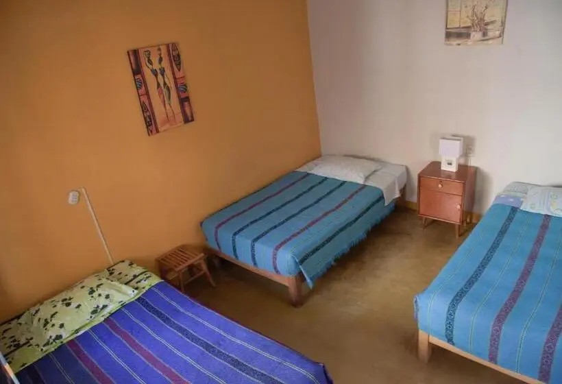 Orta Banyolu Üç Kişilik Standart Oda, Brabant Hostal