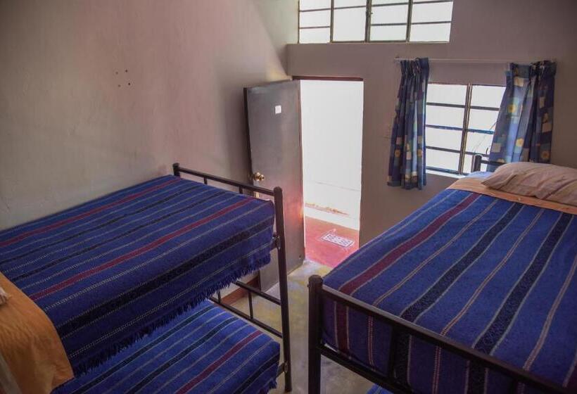 ルームシェアのワンベッド, Brabant Hostal