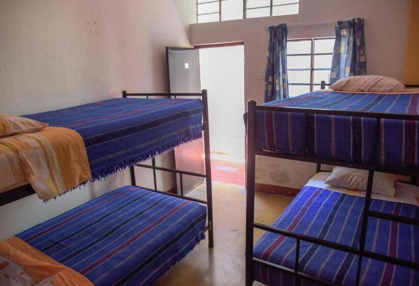 ルームシェアのワンベッド, Brabant Hostal