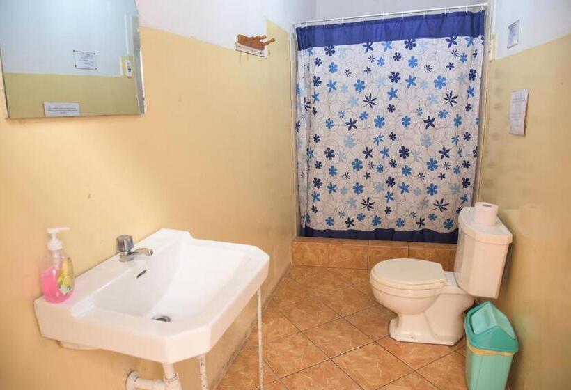 ルームシェアのワンベッド, Brabant Hostal