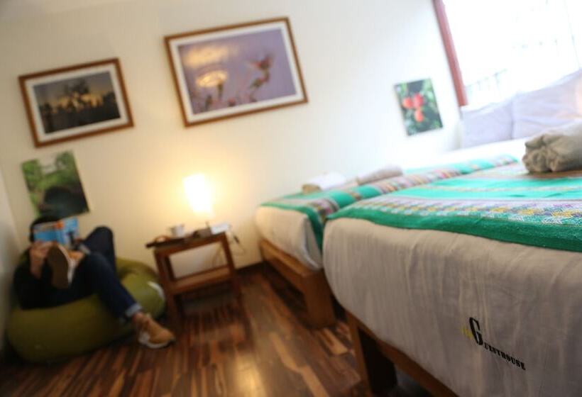 חדר סטנדרט חדר אמבטיה משותף, Froguesthouse