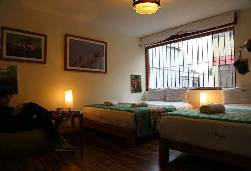 חדר סטנדרט חדר אמבטיה משותף, Froguesthouse