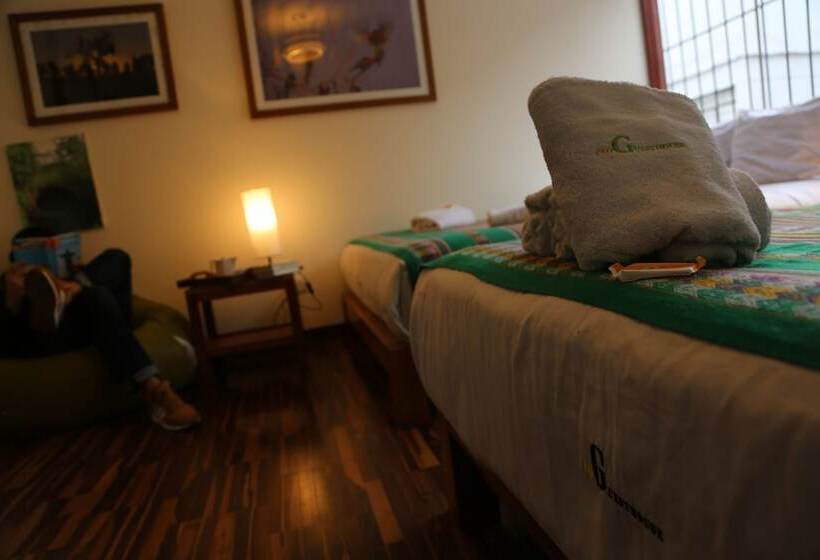 חדר סטנדרט חדר אמבטיה משותף, Froguesthouse