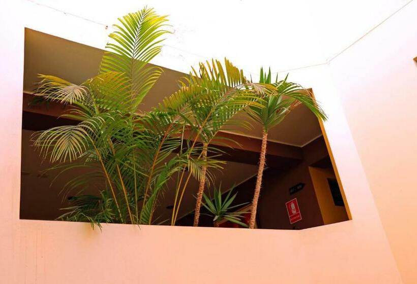 اتاق استاندارد, Bohemia