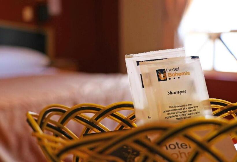 اتاق استاندارد با سرویس بهداشتی مشترک, Bohemia