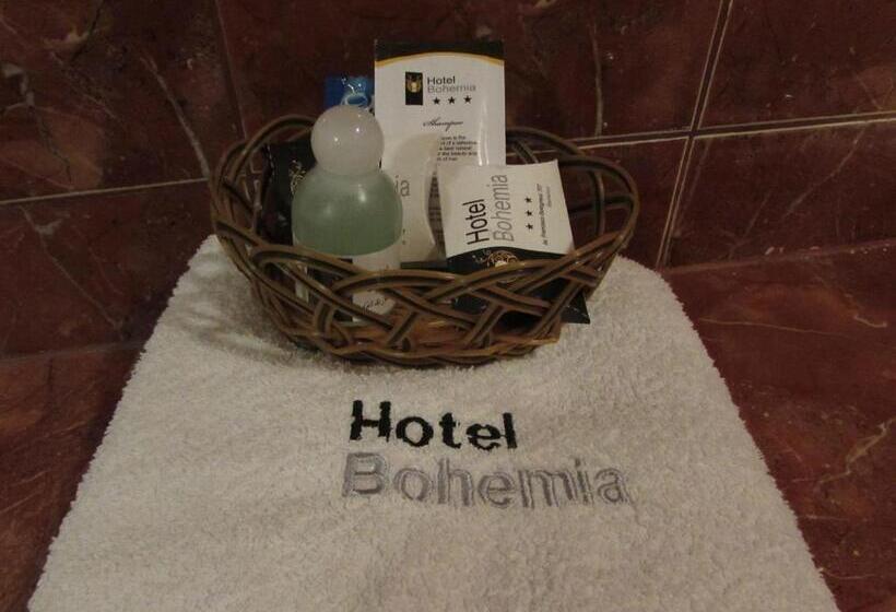 اتاق استاندارد با وان آب گرم, Bohemia