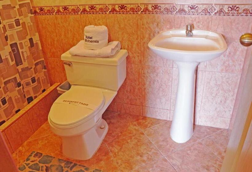 اتاق استاندارد با وان آب گرم, Bohemia