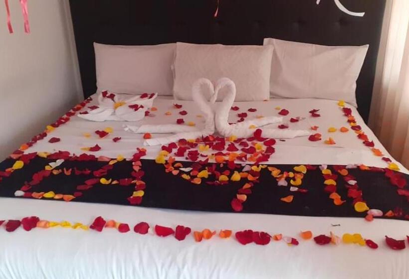 Номер Стандарт Индивидуальный, El Cid Plaza Premium