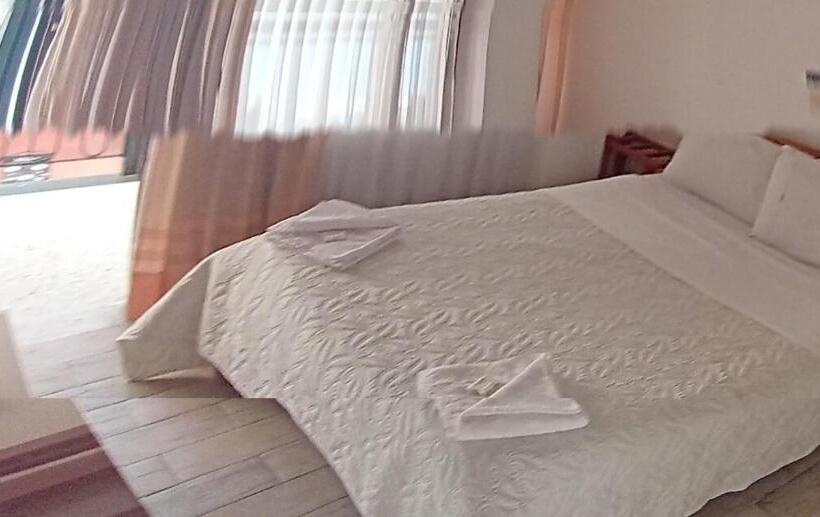 Номер Стандарт Индивидуальный, El Cid Plaza Premium