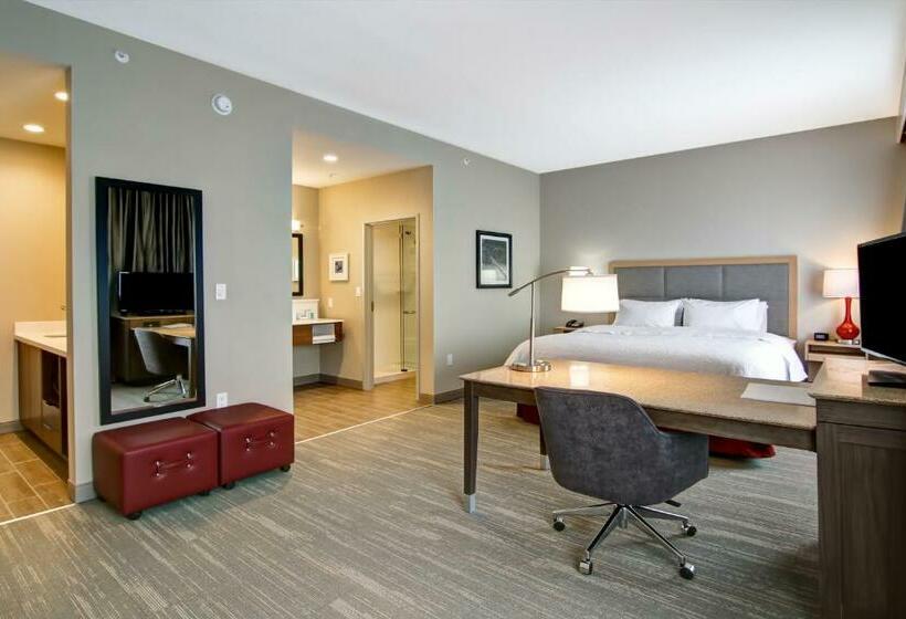 Студио Стандарт Кровать Кинг, Hampton Inn & Suites By Hilton Grande Prairie