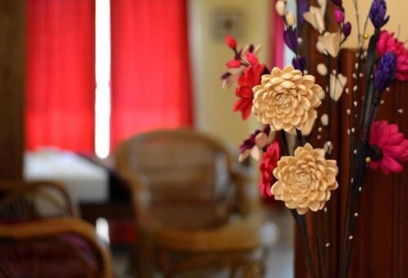 غرفة قياسية فردية, Mea Culpa Kampot