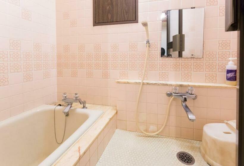 غرفة قياسية, Ogawa