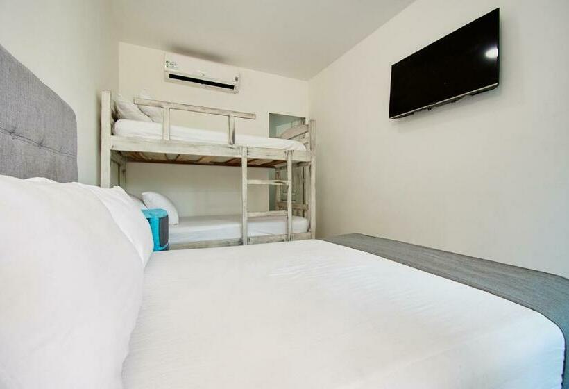 四人标准间, Palma Linda