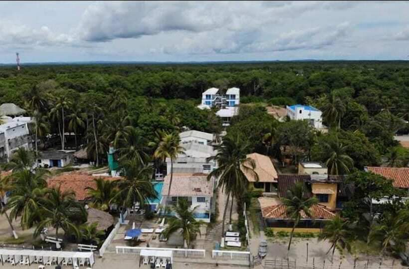 标准三人间, Palma Linda