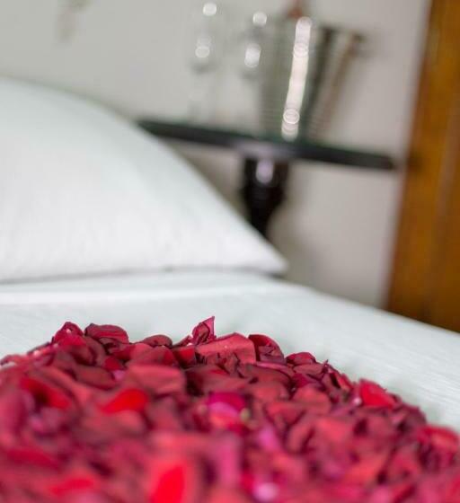 Standart Tek Kişilik Oda, Plaza Ventura