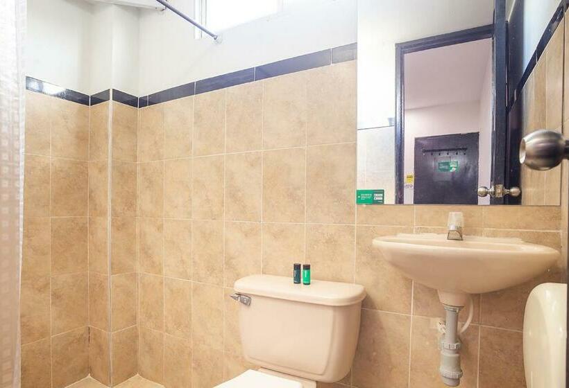 اتاق استاندارد, Ayenda Hotel Alejandría