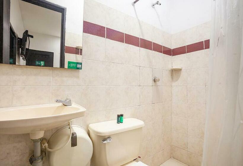 اتاق استاندارد, Ayenda Hotel Alejandría