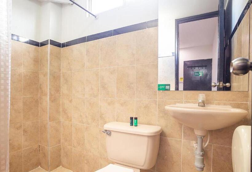 اتاق سوپریور, Ayenda Hotel Alejandría