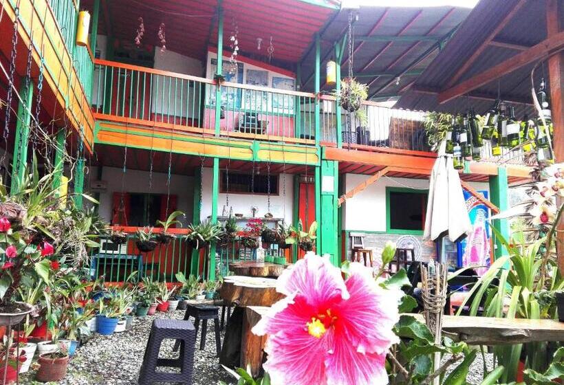 اتاق استاندارد با تخت بزرگ, Hostal Estrella De Agua