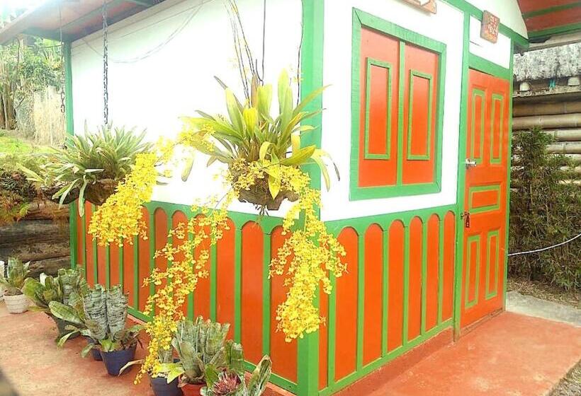 小室, Hostal Estrella De Agua