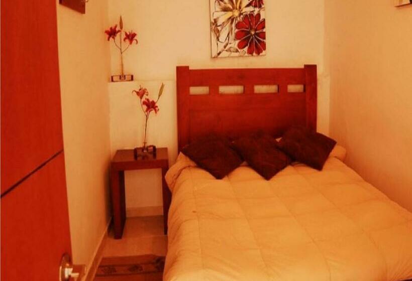 اتاق استاندارد یک نفره, Alicante