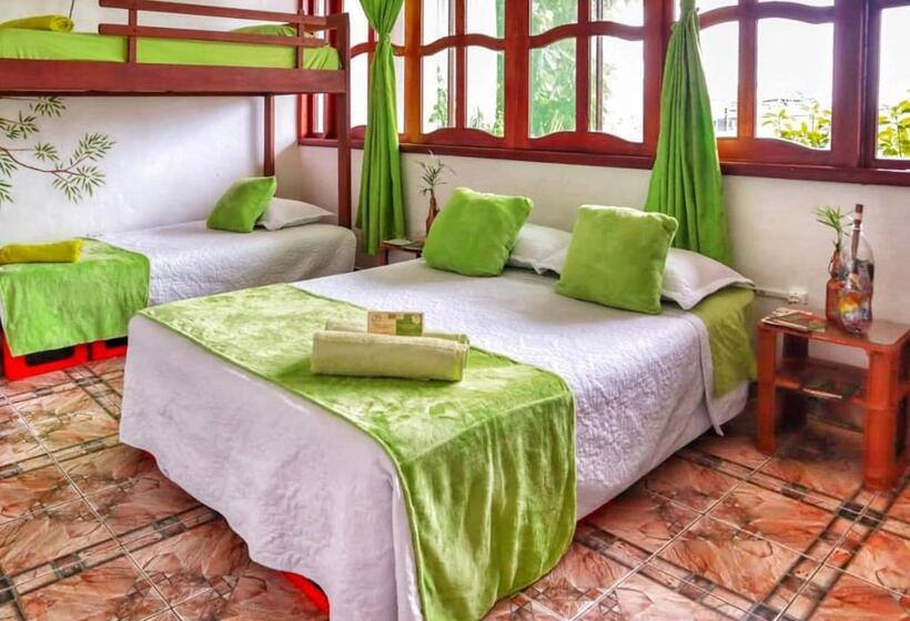 スタンダードルーム, Eco Hotel El Refugio De La Floresta