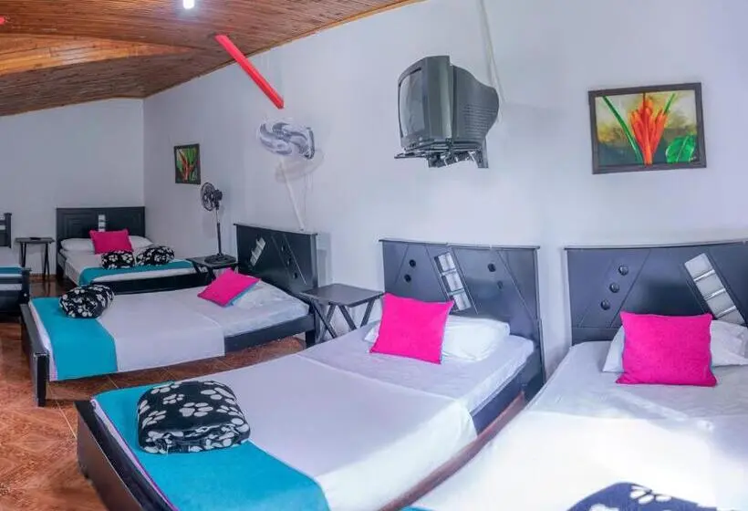 Standard Viiden Hengen Huone, Finca Hotel El Tizon