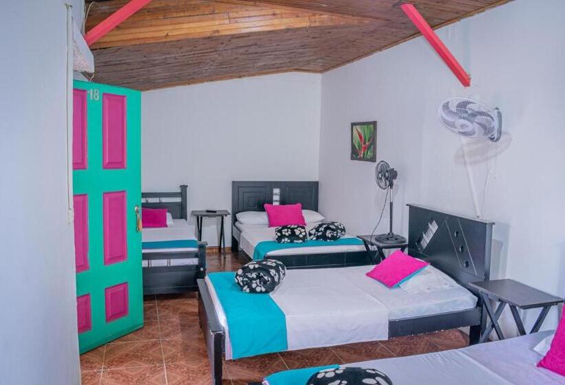 Dört Kişilik Standart Oda, Finca Hotel El Tizon