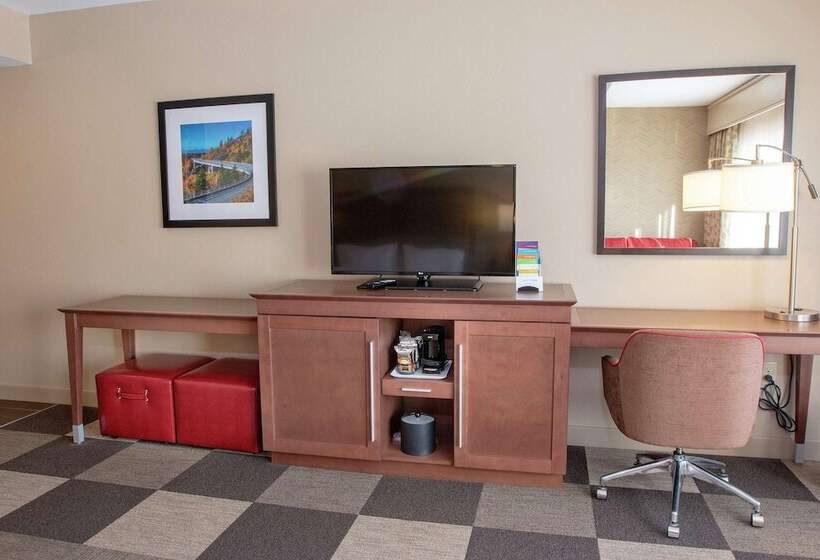 غرفه قياسيه سريرين مزدوجين, Hampton Inn & Suites Boone