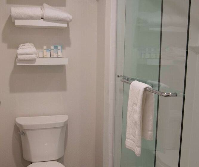 إستوديو قياسى سرير مزدوج, Hampton Inn & Suites Boone