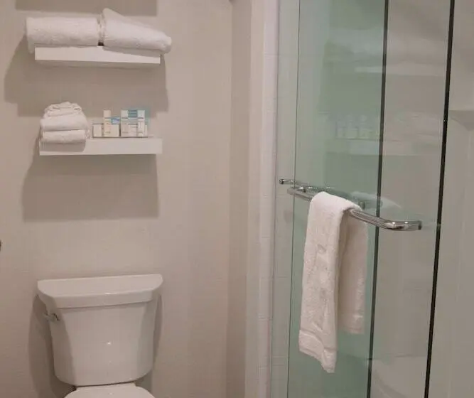 ダブルベッドのスタンダードスタジオ, Hampton Inn & Suites Boone